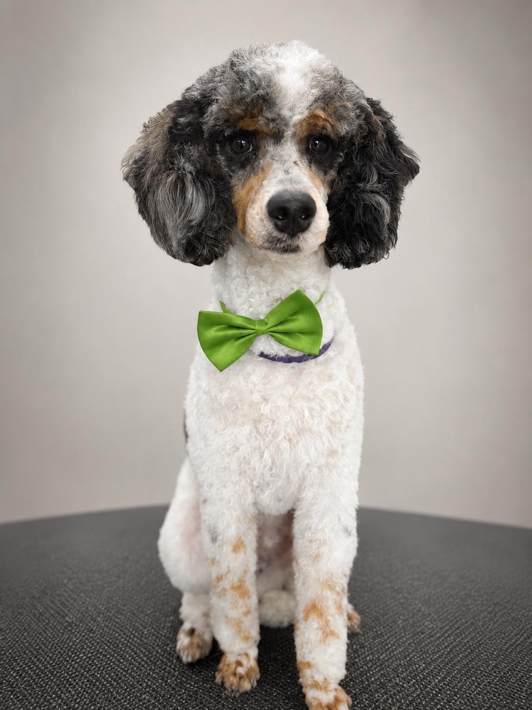 Grooming result
